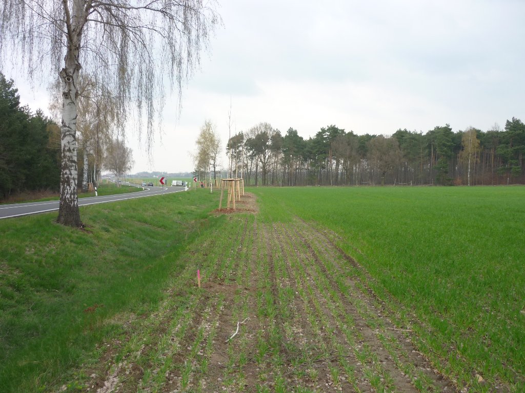 Straßenschlussvermessung